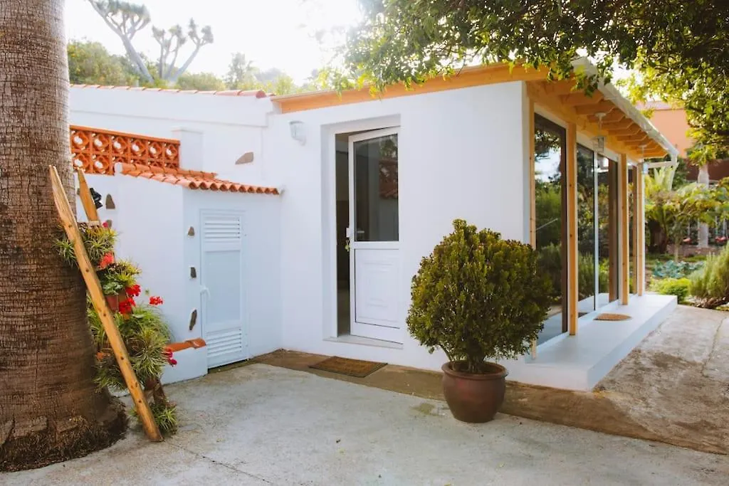 Dağ evi Casita Gopal Villa Icod De Los Vinos İspanya